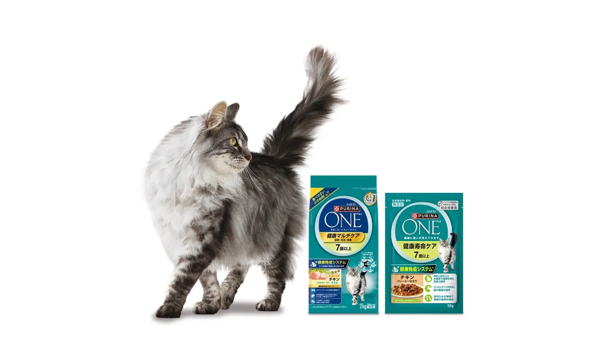 ピュリナ ワンのキャットフードで猫のミックスフィーディングを始める